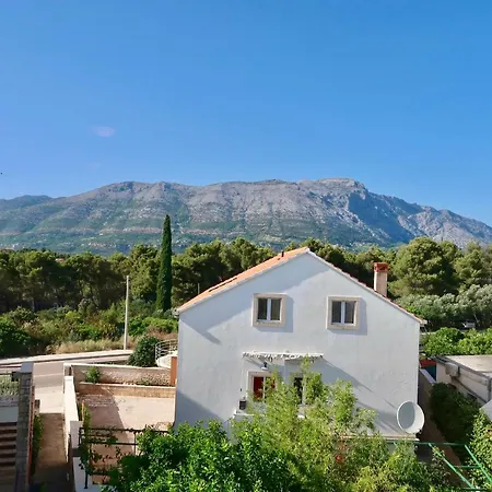 Loft Panorama Apartment *